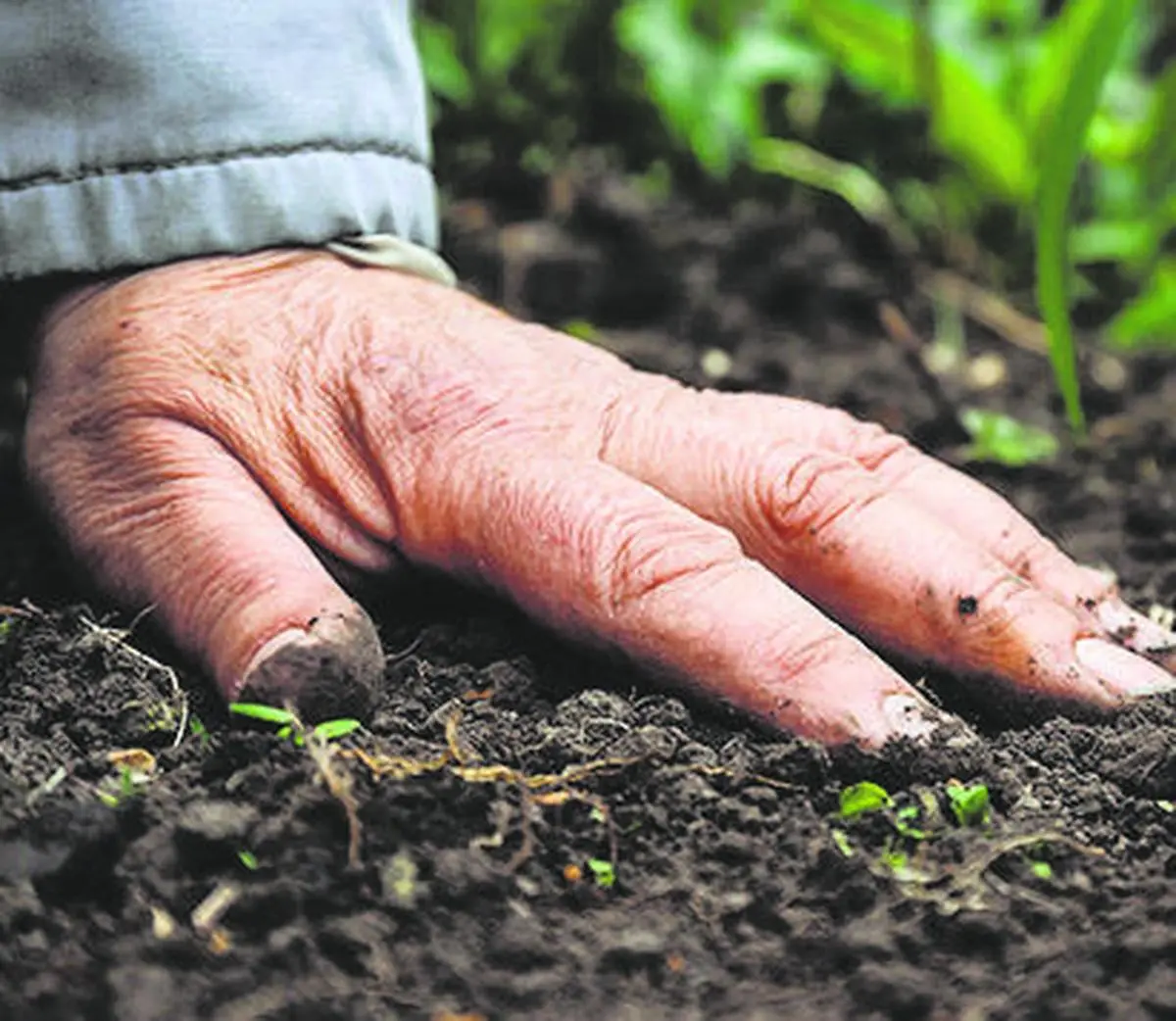ICRISAT’s new index links soil degradation with crop yields, offers clear path to intervention