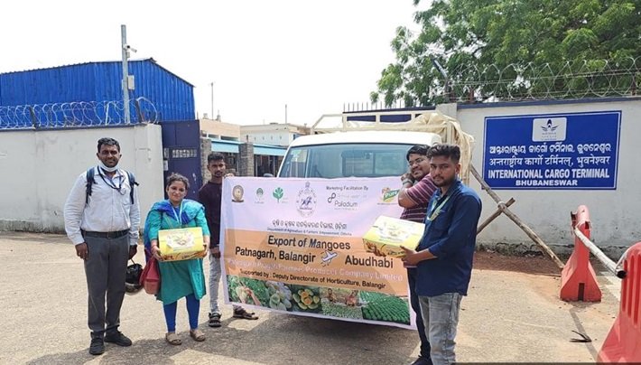 Odisha flags off first consignment of Amrapali Mango export to Abu Dhabi