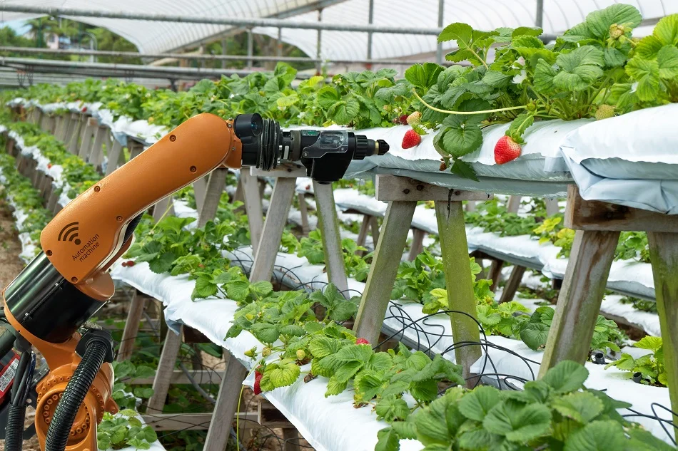 India's tryst with agri robotics