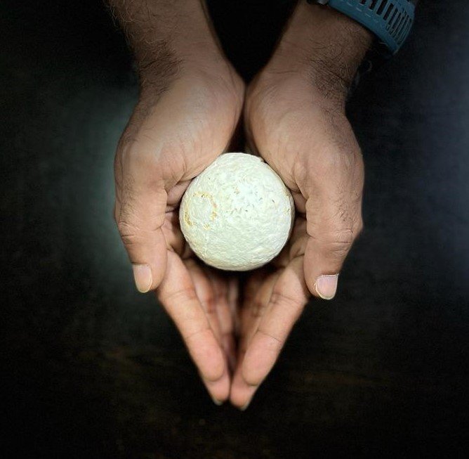 IIT Madras Researchers develop agriculture waste-based packaging materials to eliminate plastic use