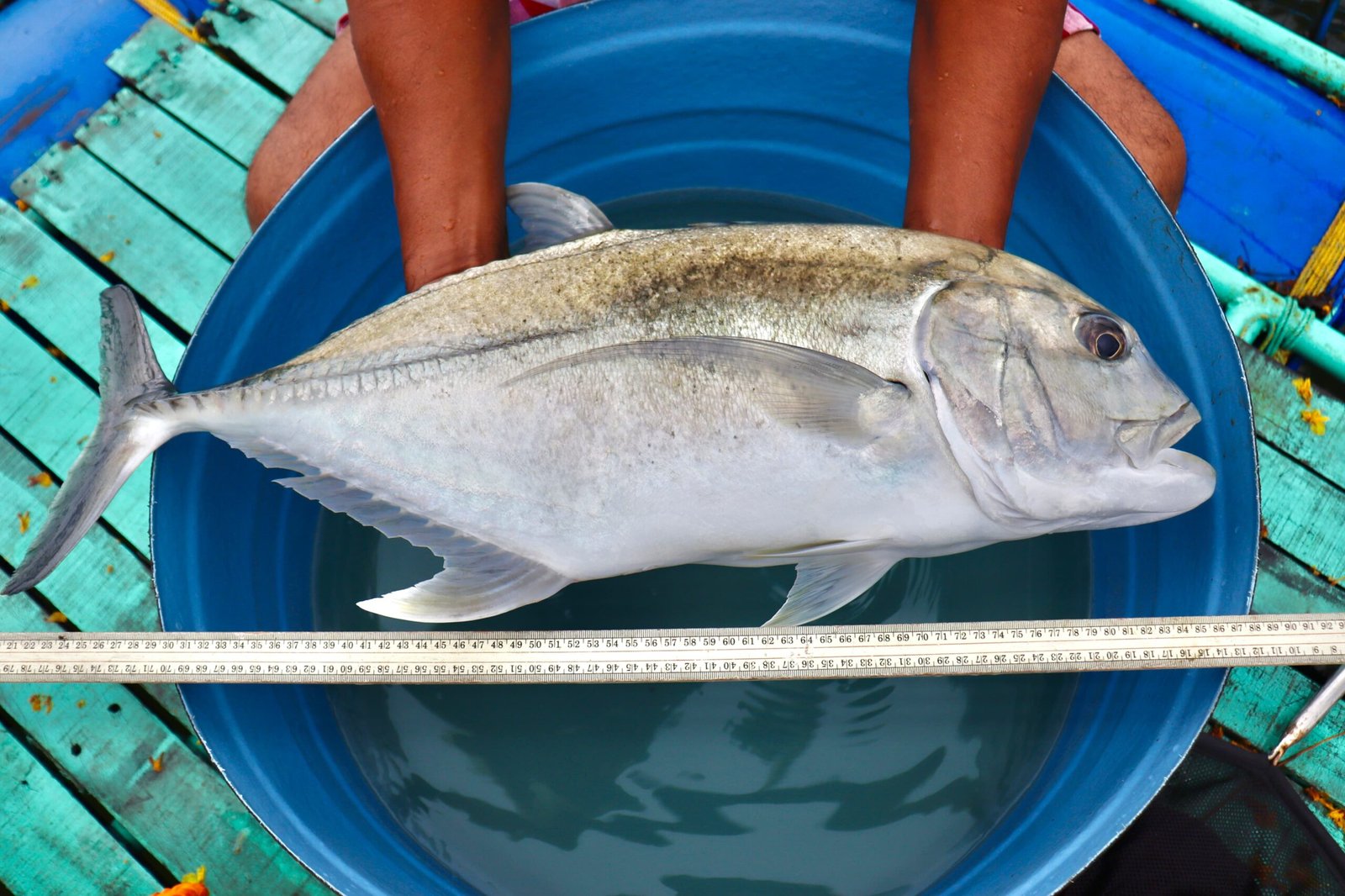CMFRI's Giant Trevally Breeding Tech ranks among top 5 national fisheries innovations
