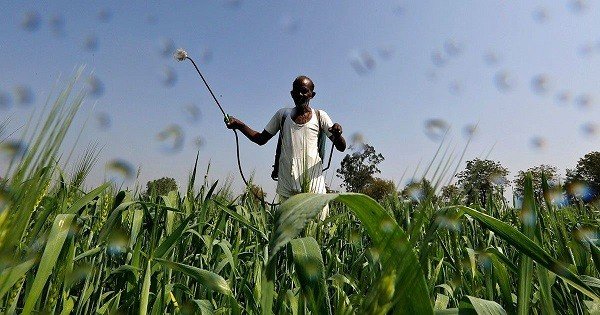 India approves 27 new crop protection products under Insecticides Act