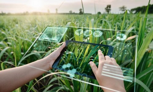 Cropin Partners with Wipro to accelerate AI-led transformation in global agri-food businesses