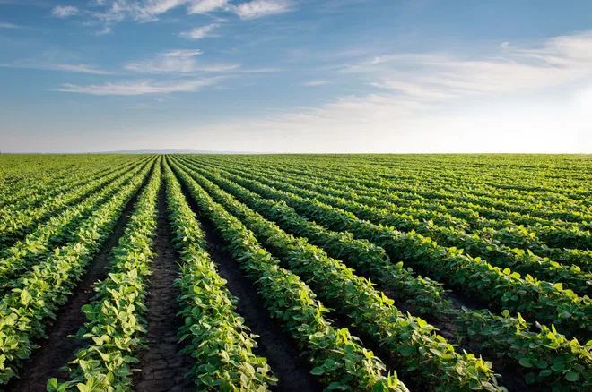 How PM Modi’s Varanasi rollout links farm liquidity with urban infrastructure