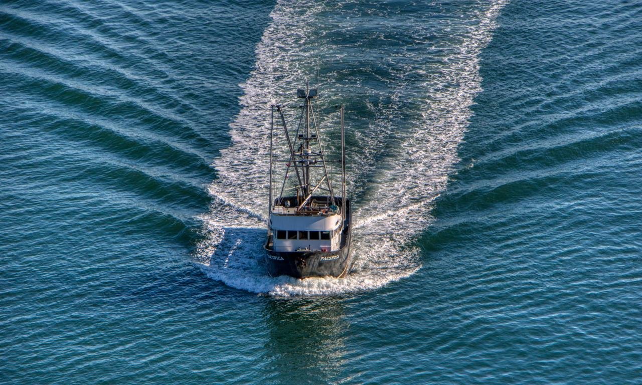 New study uncovers climate change deepening labour risks in industrial fisheries 