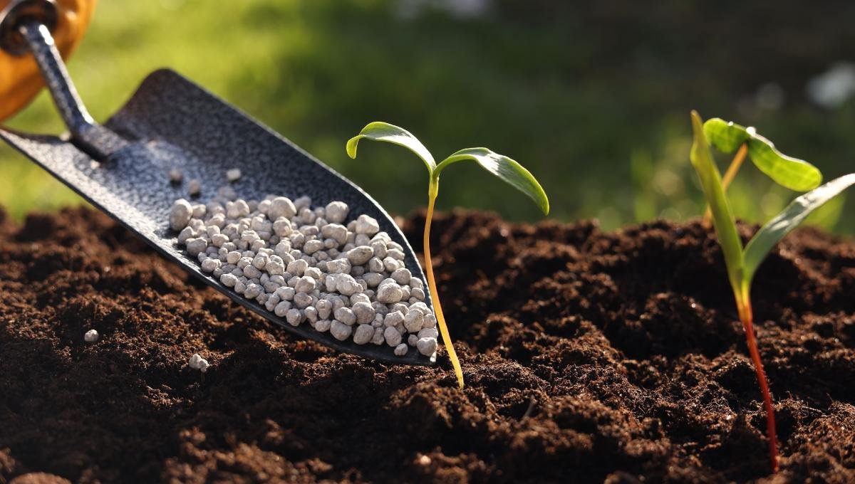 India doubles down on fertilizer security: Record production, global deals and robust subsidy support keep Kharif supply comfortable