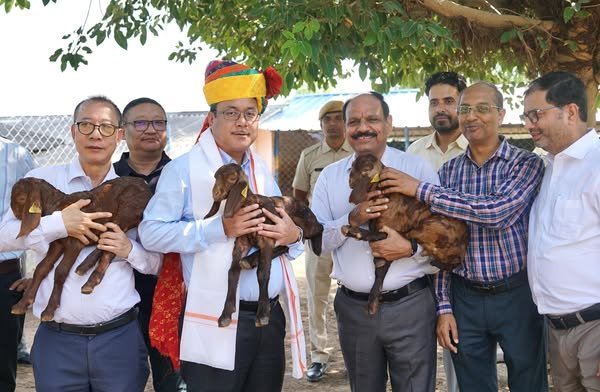 Arunachal Pradesh explores collaboration with CSWRI to advance sheep and goat rearing