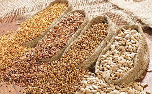 India’s Rs 15,000 cr bet on oilseed and pulse security: Policy push toward agri-sovereignty