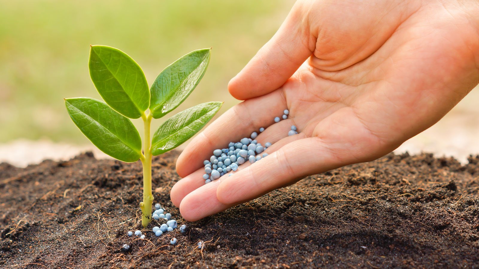 NPK demand stable, DAP volumes flat as geopolitics weigh on fertiliser sector: Crisil