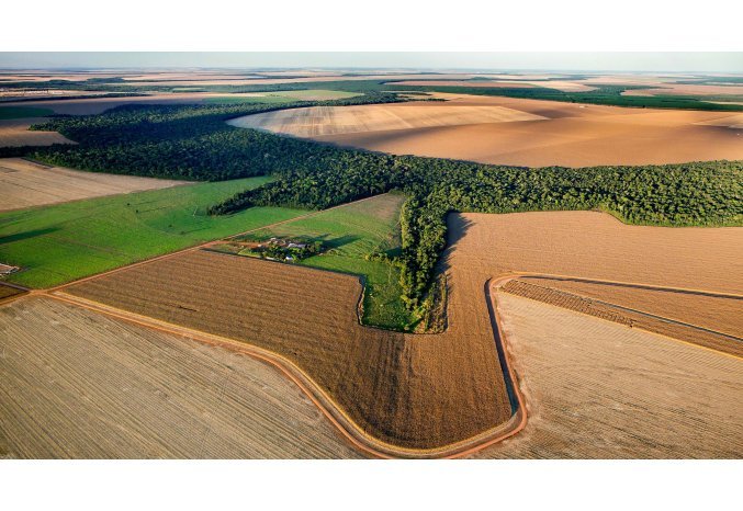 Syngenta’s REVERTE® program receives recognition as Best-in-Class for transforming agriculture at COP 30 