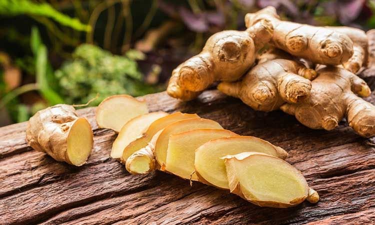 Mizoram crowned India’s ‘Ginger Capital’ — State charts ambitious expansion plan for transformative value chain