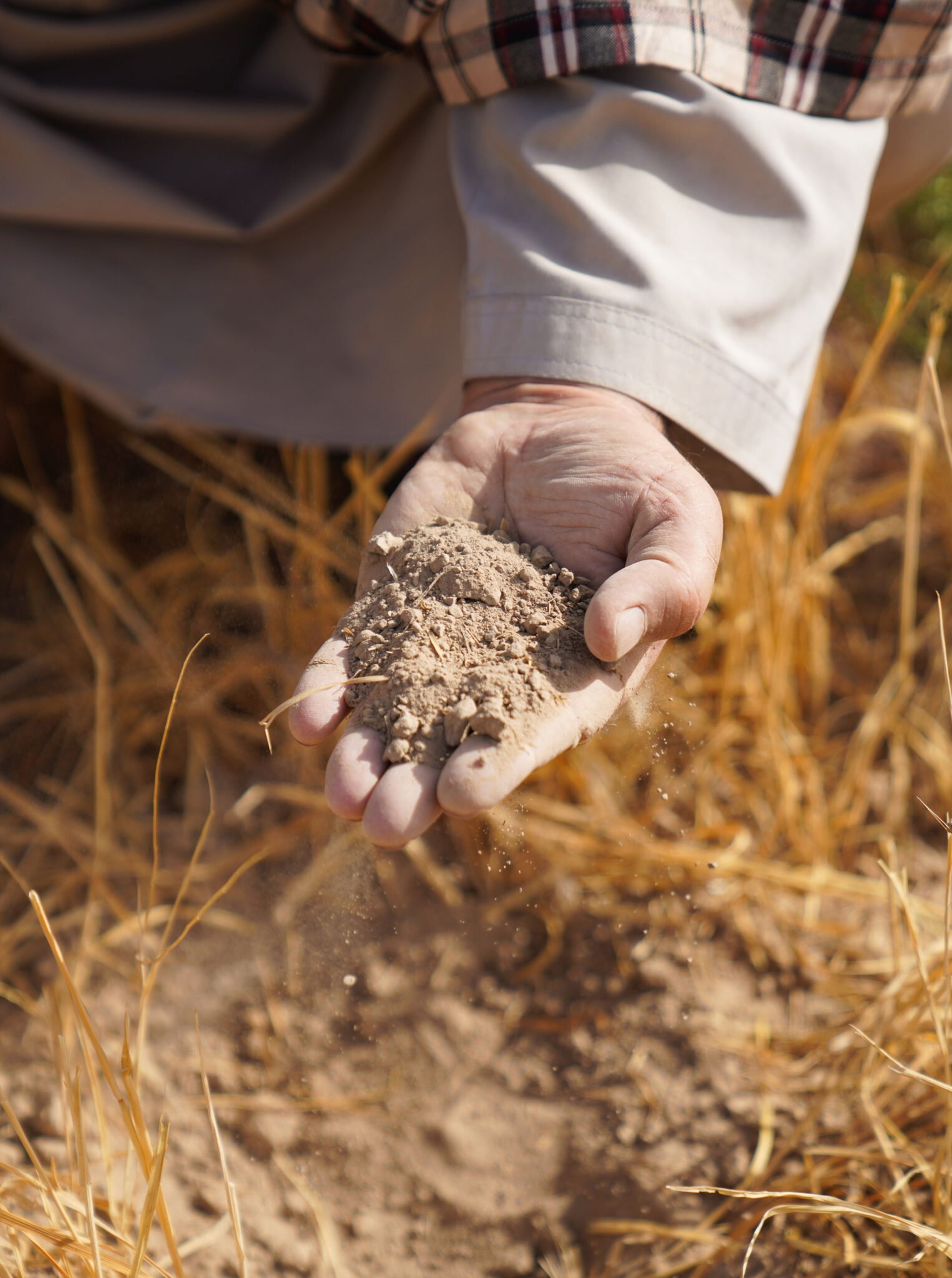 Land degradation emerges as defining threat to global food security ...