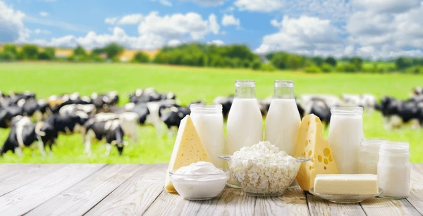 Rs 4–5 trillion sector reinvented: Inside GOI’s plan for smarter, cleaner dairy ecosystem