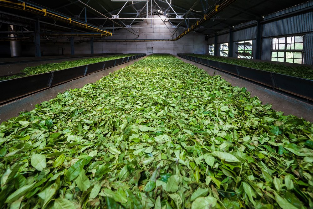 India pushes green food processing as MoFPI accelerates renewable energy, sustainable packaging and net-zero infrastructure