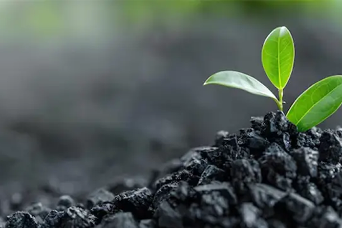 Microsoft bets on India’s farm waste to bury carbon for good