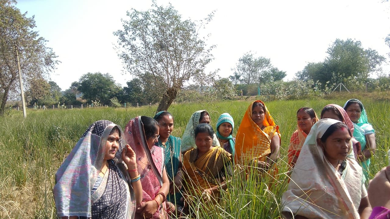 Dhan ka katora: Bowl of prosperity