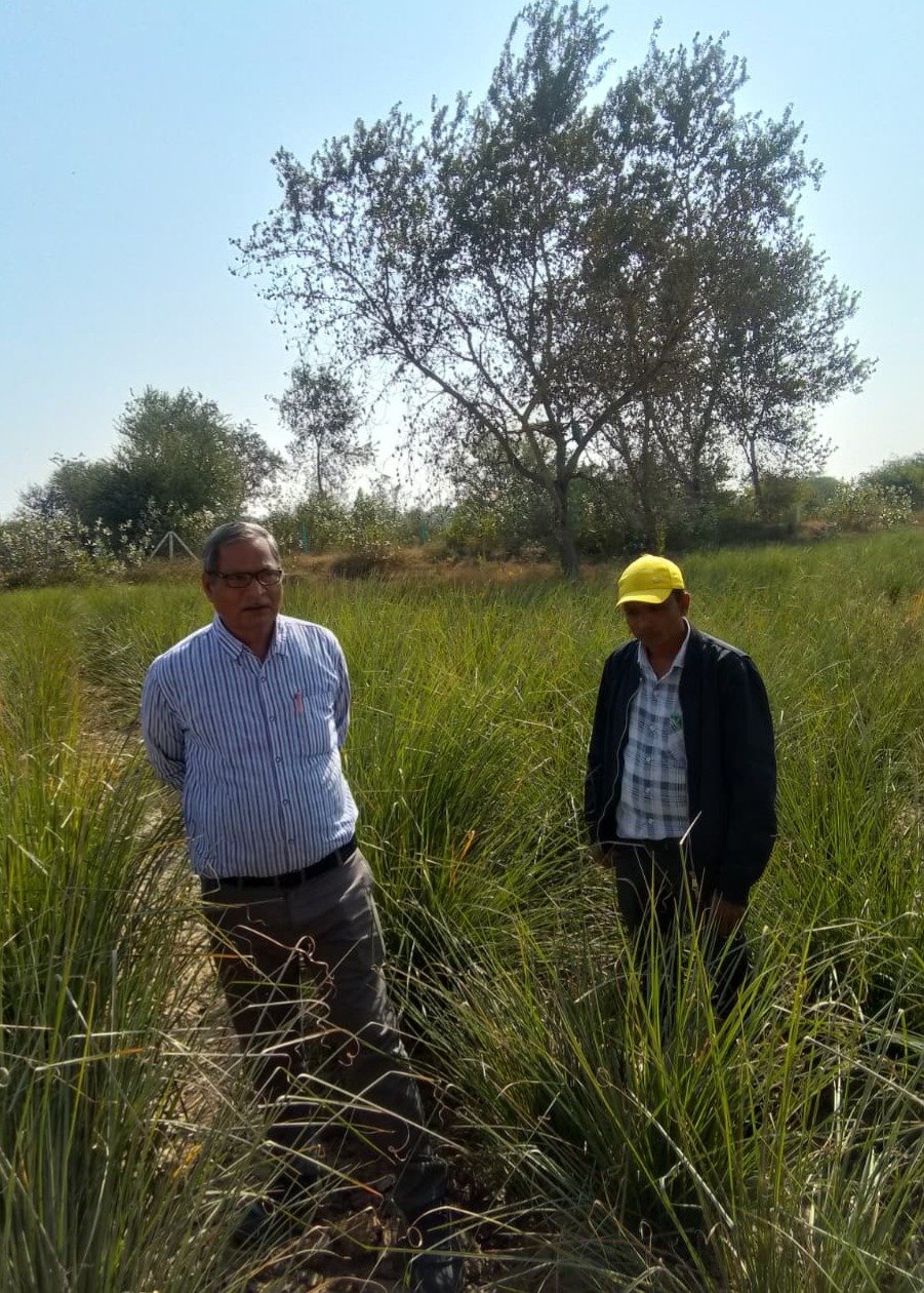 Fragrance of renewal