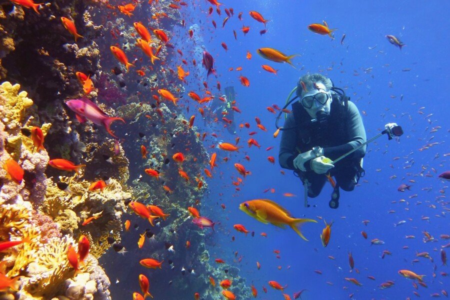 Fourth industrial revolution at sea: Why technology adoption is real test for sustainable fisheries