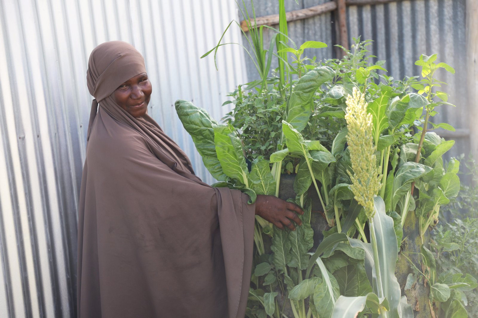Refugee camp and green thumb