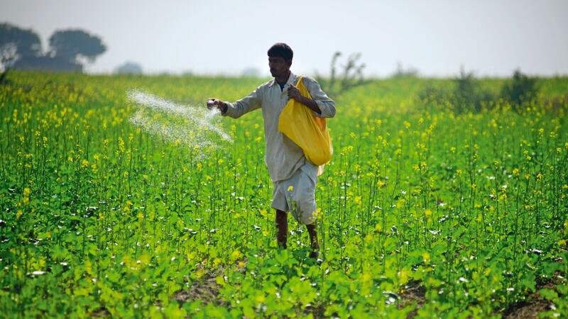 SFIA flags regulatory bottlenecks in fertilizer sector, seeks structural reset