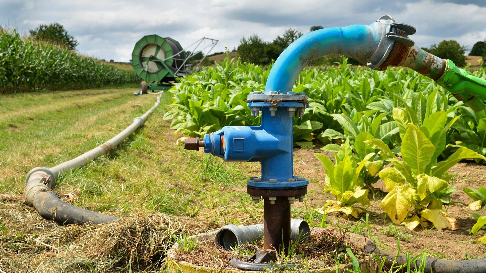 Global agricultural pumps market poised for strong growth, projected to reach $ 9.1 bn by 2033