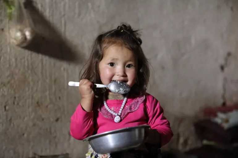 FAO, UNICEF and France join forces to strengthen food security and nutrition for earthquake-affected families in eastern Afghanistan