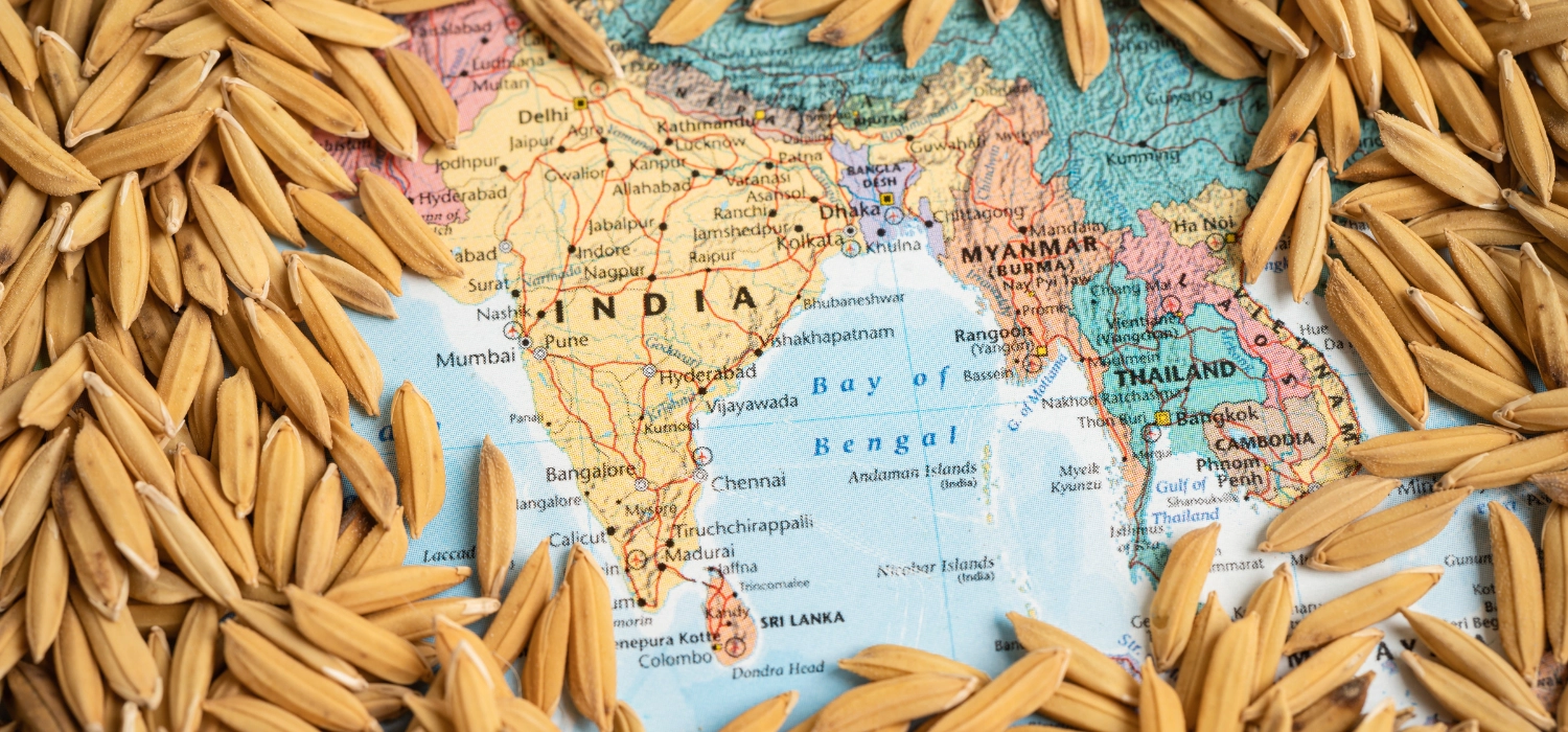 From tariff shock to trade reset: What numbers say about Indian rice exports to US