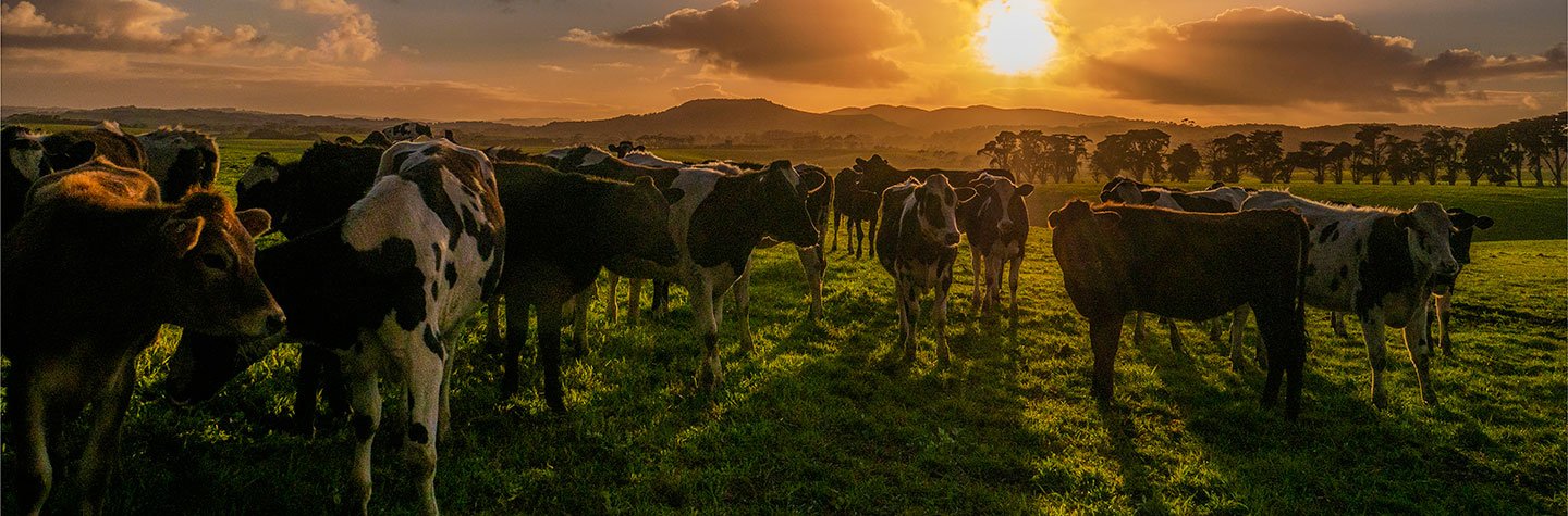 India should move toward productivity-linked livestock insurance—but only through phased, data-anchored evolution: Ritesh Chauhan, Secretary of Animal Husbandry, Govt of Himachal Pradesh