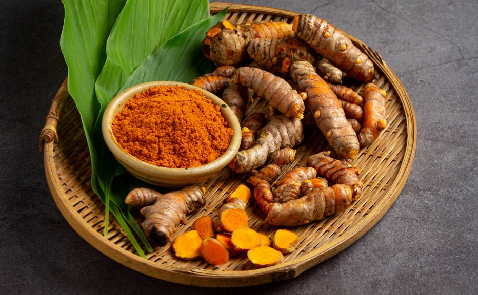 Boosting turmeric supply chain initiatives