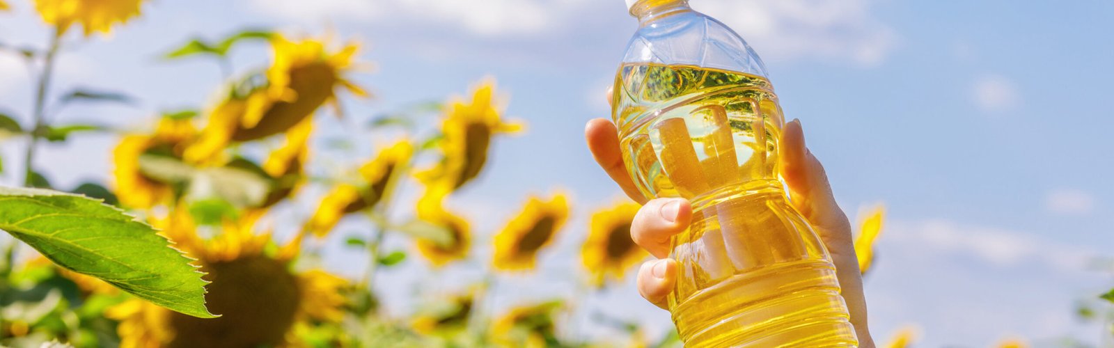 Global edible oil markets enter structural volatility amid trade and biofuel realignments: IVPA President