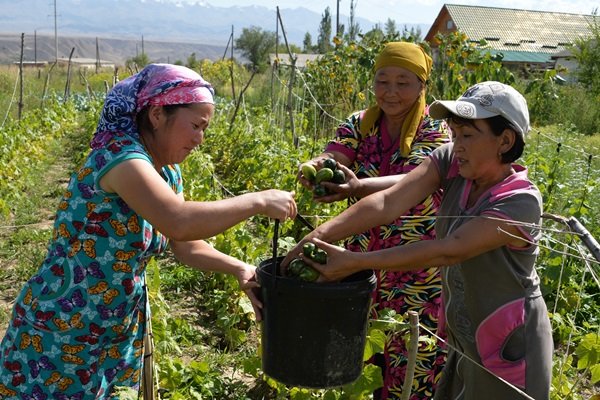 ICAR drives gender-inclusive agriculture with national platform initiative