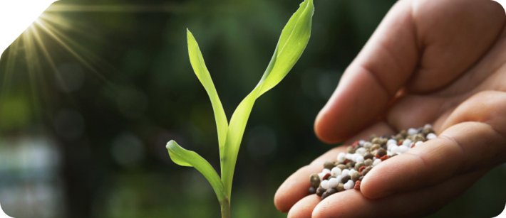 India fortifies fertiliser security with global pacts, domestic push amid supply risks