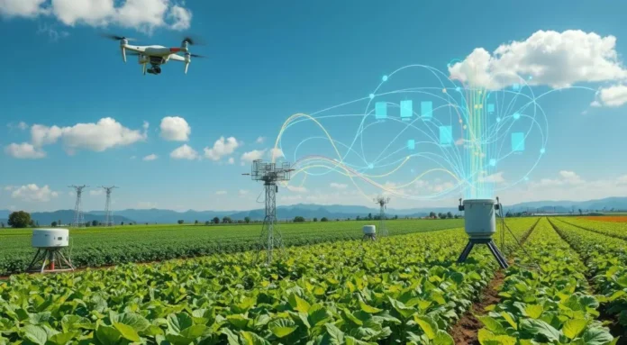 India accelerates hyperlocal weather intelligence to safeguard agriculture and economy