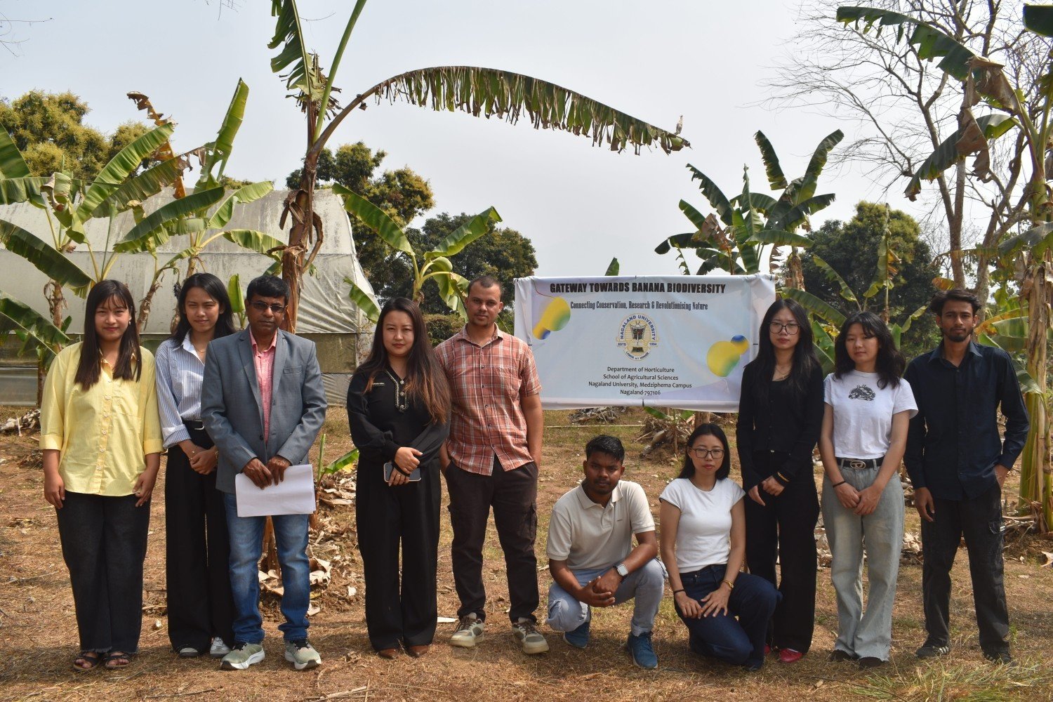 Nagaland University study finds rich genetic diversity in wild bananas in North East with major climate-resilience potential