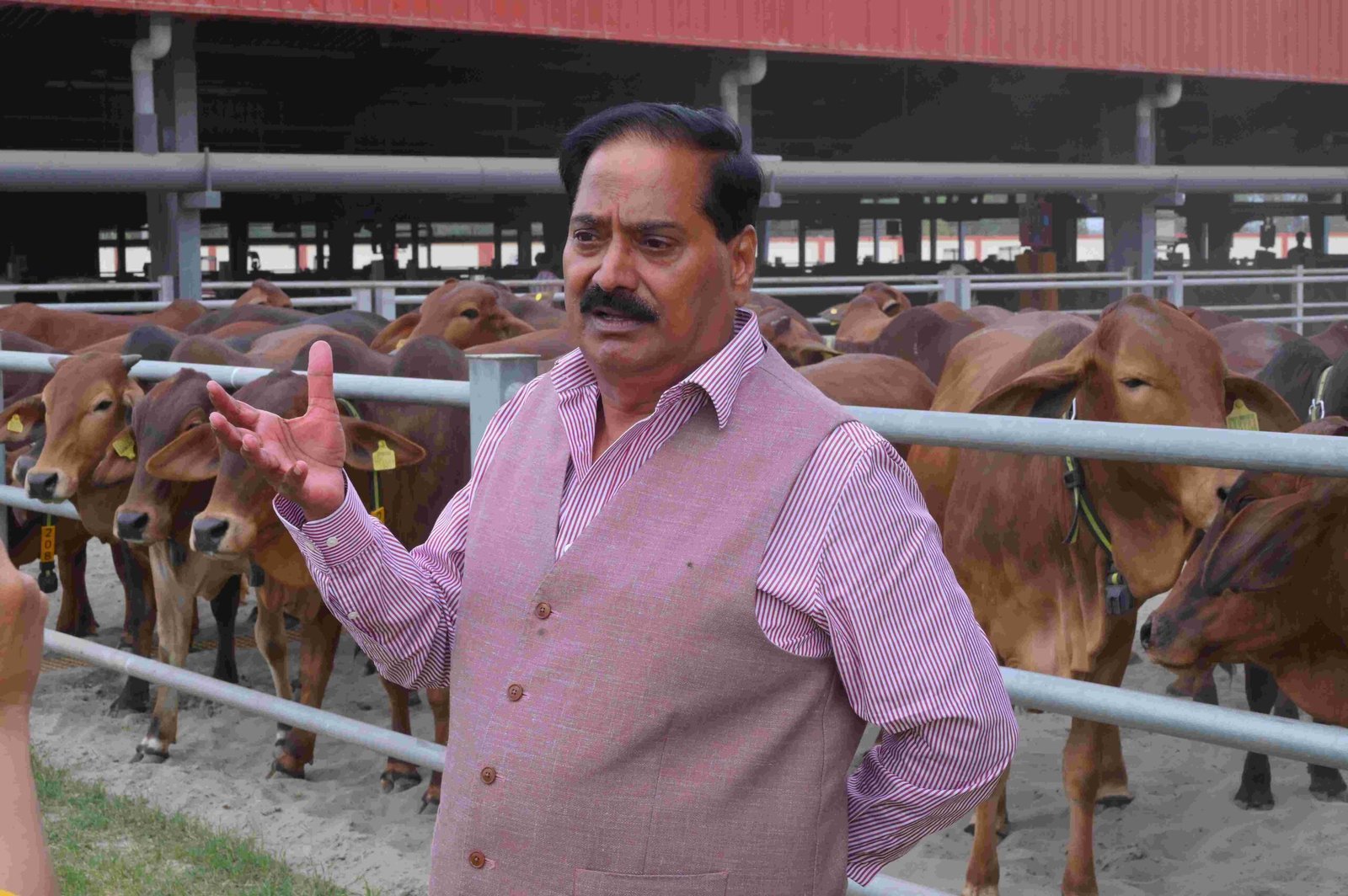 India successfully carries out first of its kind Pure Gir Embryo Transfer programme at scale