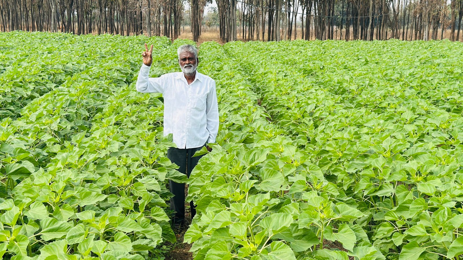 Orbia Netafim and Amazon India partner to save 325 Mn liters of water annually