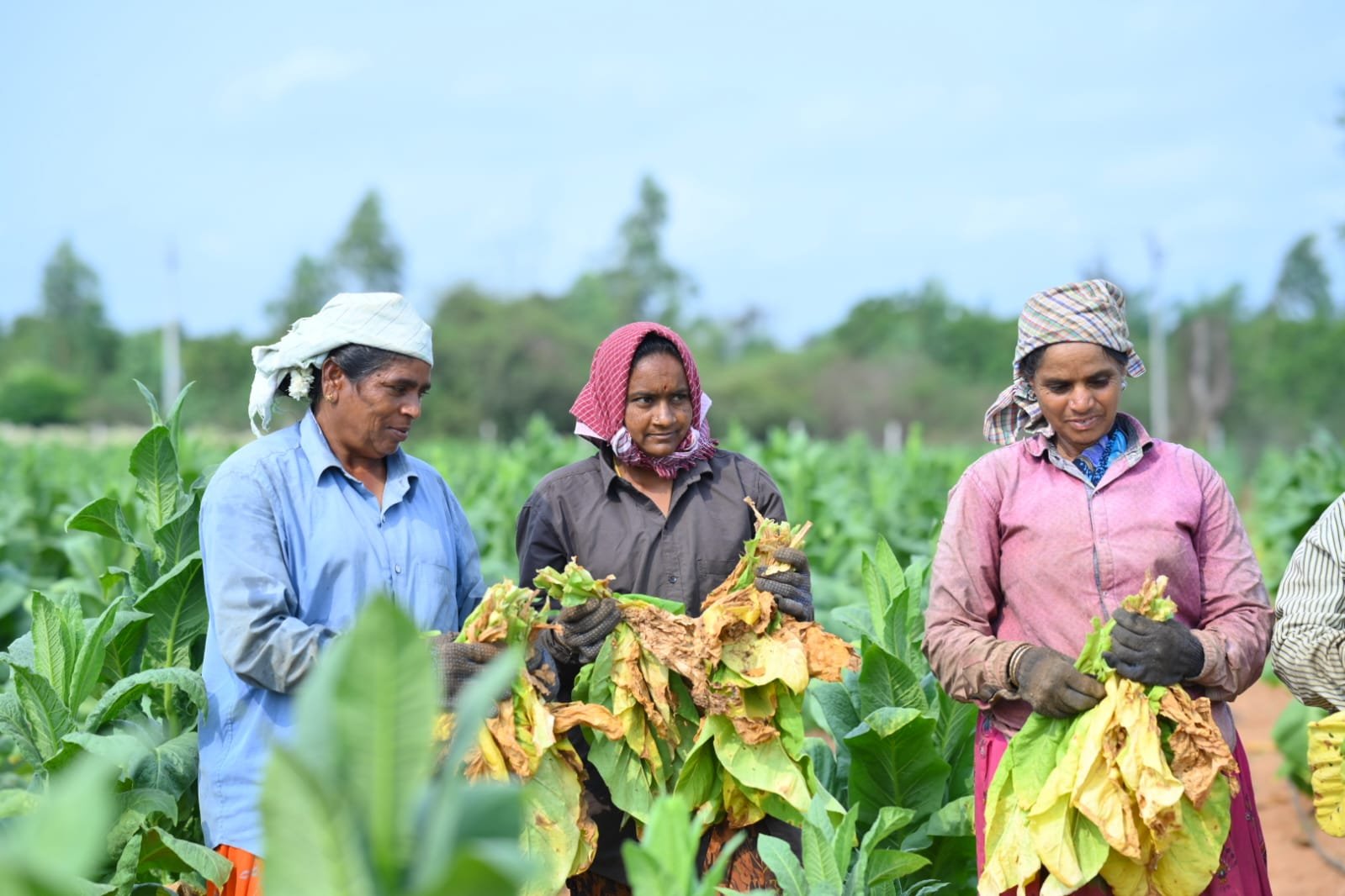Elitecon International strengthens CSR, with ‘Empowering farmers through smart & sustainable agriculture initiative with ICAR-NIRCA collaboration