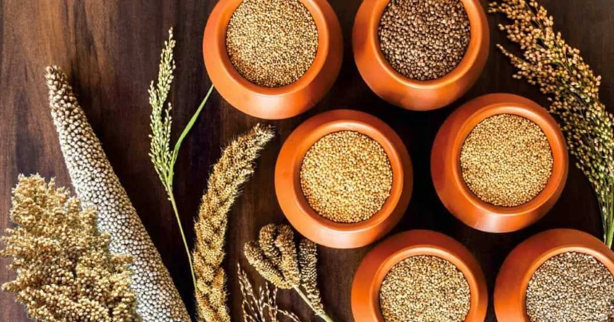 Government approves Rs 793 Crore under PLI Scheme to boost millet processing ecosystem