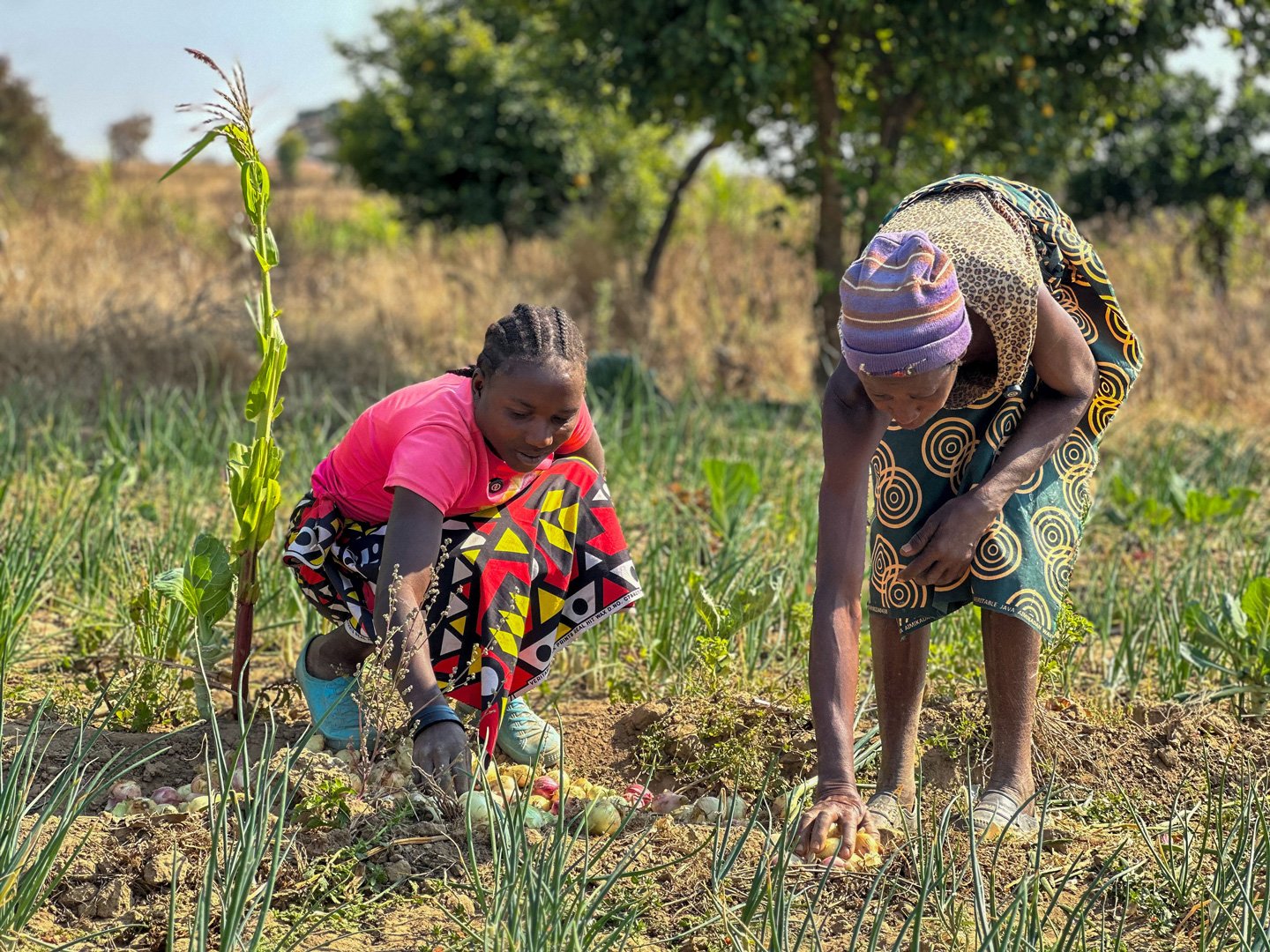 Where there is water there’s way