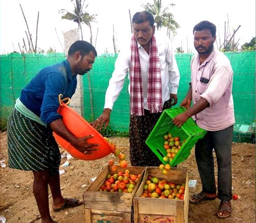 Project Chittoor targets Rs 1 lakh per acre annual income for farmers across 600 Acres in Andhra Pradesh