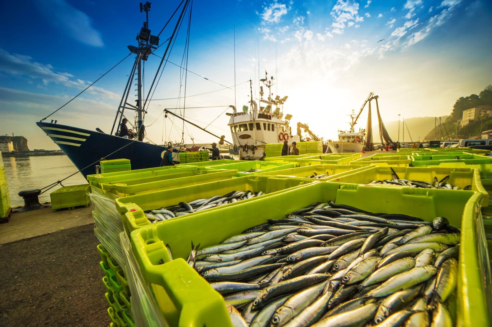 Blue economy rising: Fisheries take centre stage