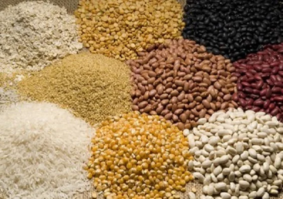 Ministry of Agriculture and Farmers Welfare data signals record foodgrain output—but structural questions remain