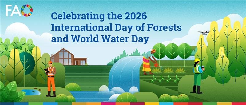 FAO celebrates 2026 International Day of Forests and World Water Day