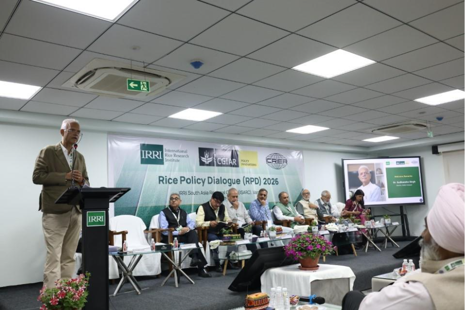 Policy Reset for India’s rice economy: Partners call for incentive realignment and sustainable transition