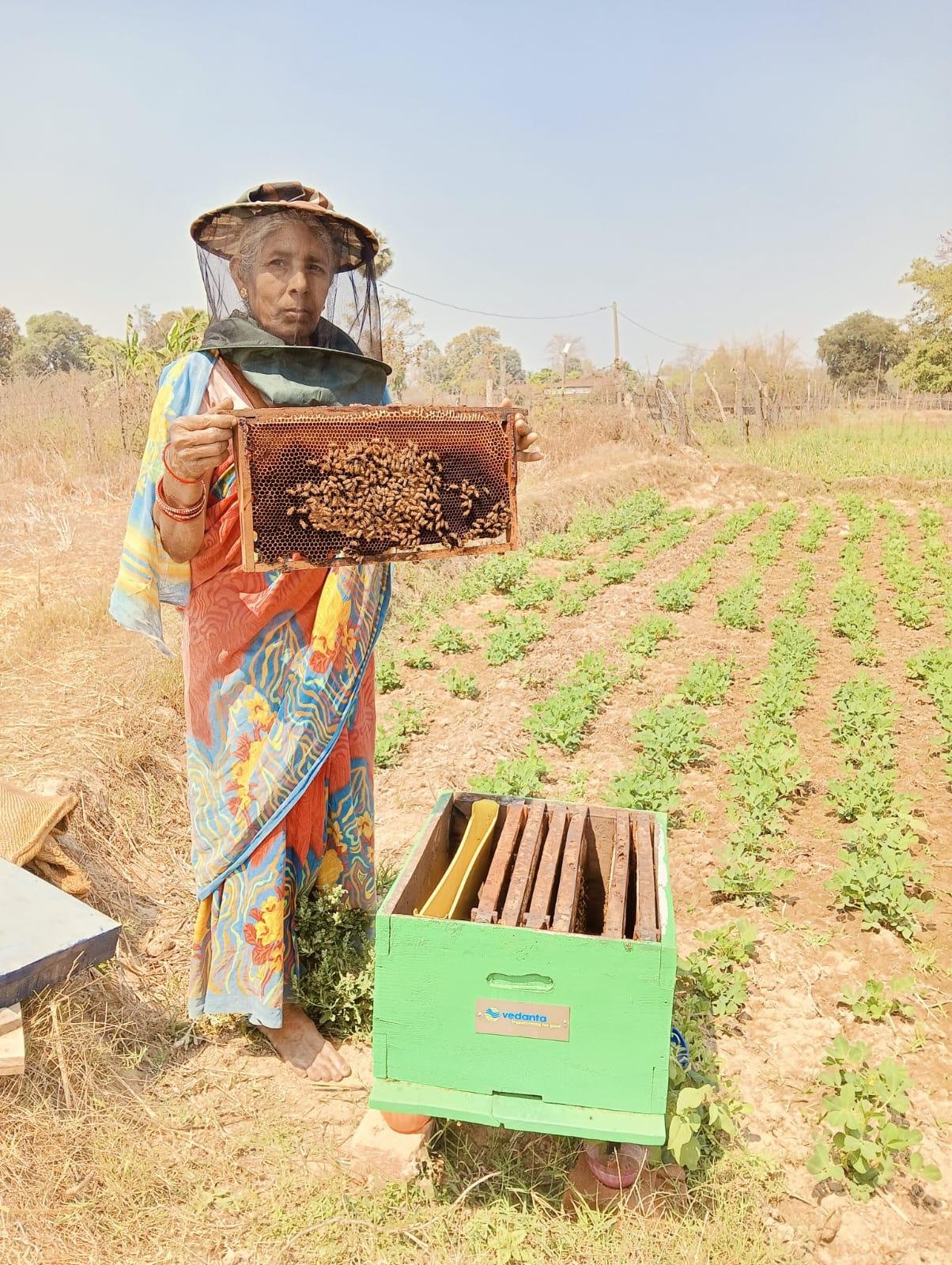 Vedanta Aluminium launches Eastern India’s largest honey FPO : Vedamrit