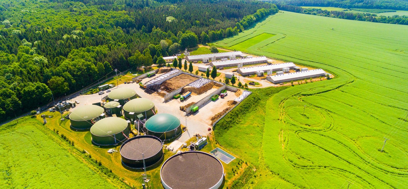 State policies emerge as key drivers of India’s Compressed Biogas expansion, says CSE expert at IFGE conference