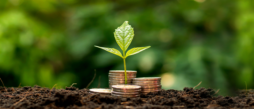 Digitizing farm balance sheet: RWAs and future of agri-finance