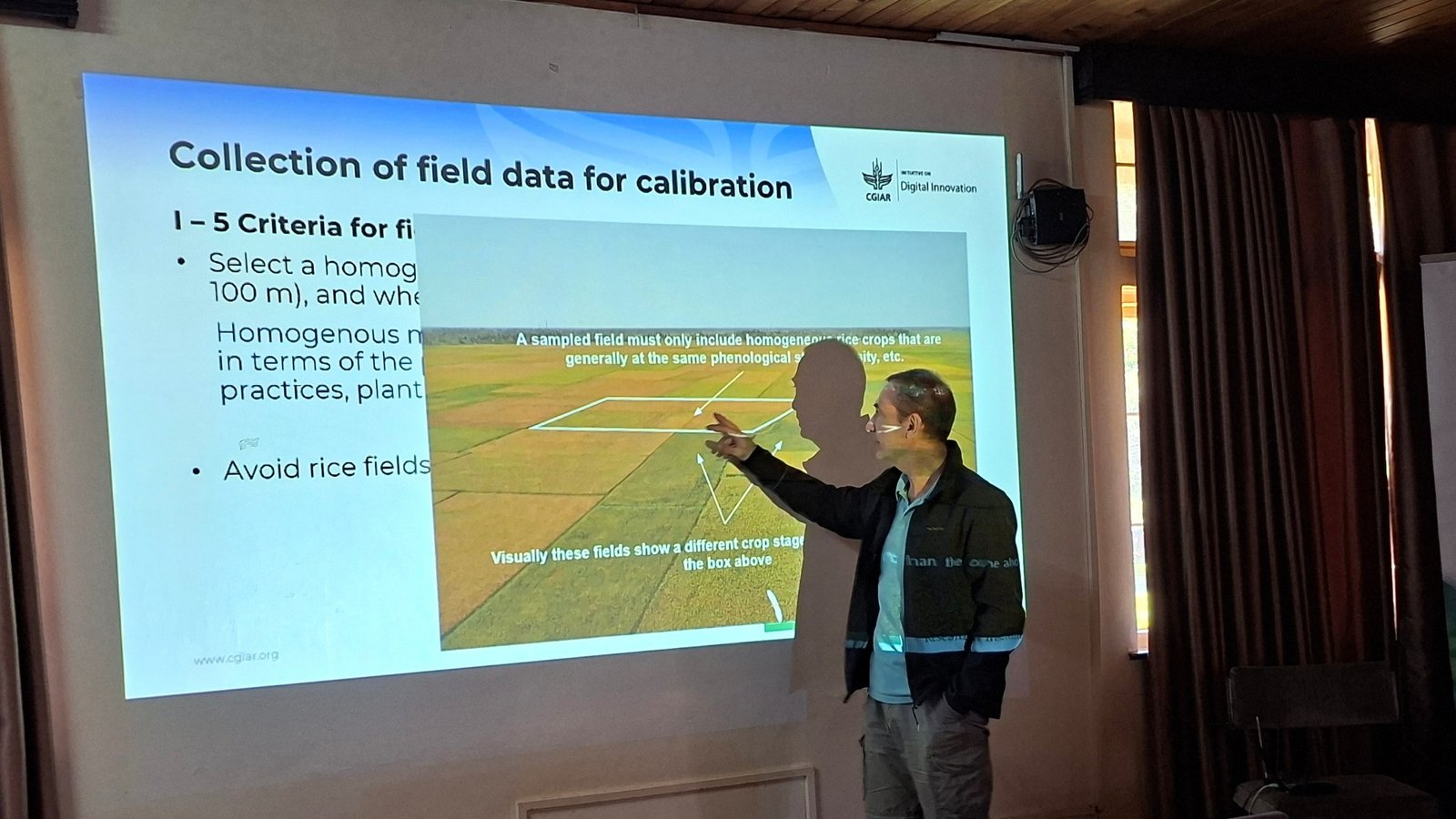 RIICE brings near-real-time rice intelligence to Kenya’s climate-exposed farming sector