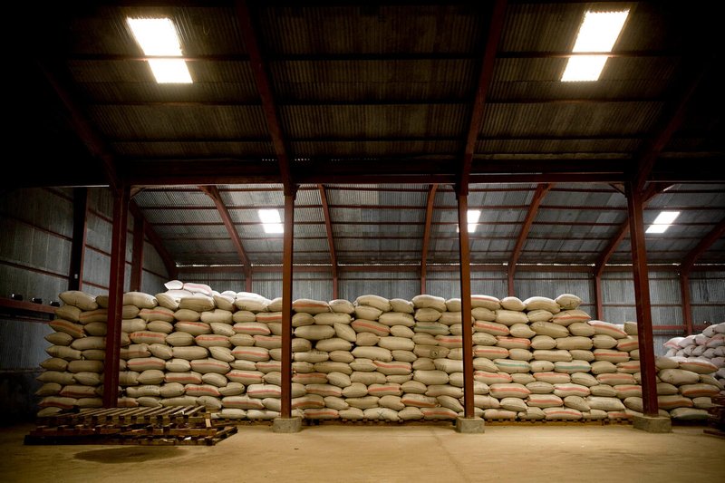 FAO Chief Economist warns of severe global food security risks from disruption to Strait of Hormuz trade corridor