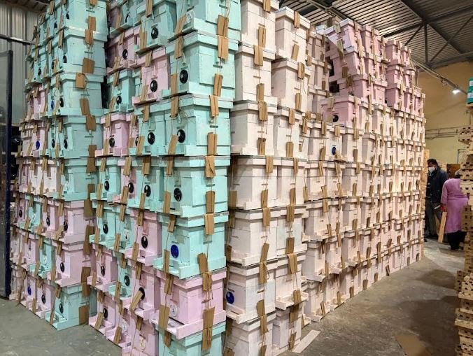 Nippon Paint India partners with Humble Bee to strengthen sustainable apiculture in India